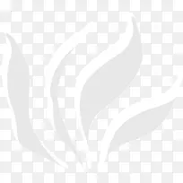 白色的水草-空若网 白色的水草-空若网