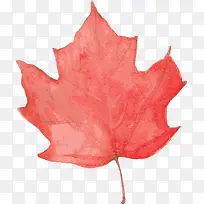 ˮ��ʸ����ɫ��Ҷ-������