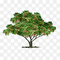 ��ɫˮ�����ֻ�-������