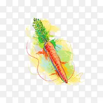 胡萝卜-空若网 胡萝卜-空若网