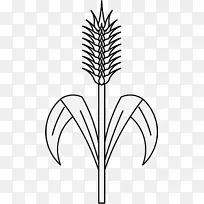 ֲ�ﾥҶ�ݳ���-������