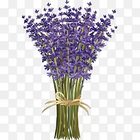 ¿¨Í¨Ò»ÊøÞ¹Ò²ݻ¨ÊøËزÄ-¿ÕÈôÍø ¿¨Í¨Ò»ÊøÞ¹Ò²ݻ¨ÊøËزÄ-¿ÕÈôÍø