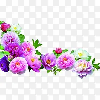 中秋国庆彩色花朵-空若网 中秋国庆彩色花朵-空若网