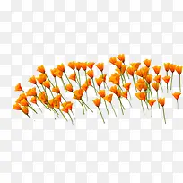 矢量橙色花朵花海-空若网 矢量橙色花朵花海-空若网