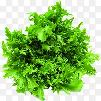 生鲜绿色蔬菜宣传-空若网 生鲜绿色蔬菜宣传-空若网