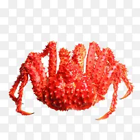 美味大螃蟹-空若网 美味大螃蟹-空若网