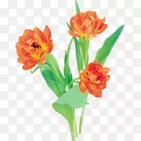 �л������㻨������������-������