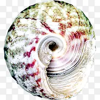 ��ɫ��������-������