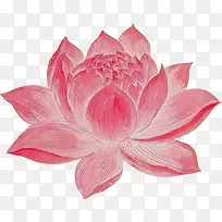 水彩红花荷花牡丹花-空若网 水彩红花荷花牡丹花-空若网