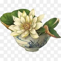 手绘立体碗中白色花-空若网 手绘立体碗中白色花-空若网