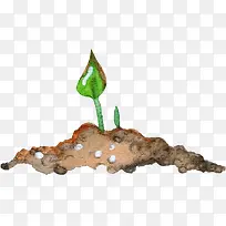 土壤小草-空若网 土壤小草-空若网