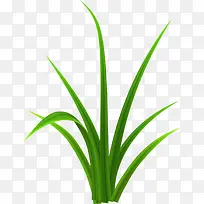 简约绿色小草-空若网 简约绿色小草-空若网