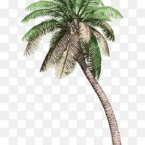 绿树干枯大树植物-空若网 绿树干枯大树植物-空若网