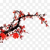 ºìɫ÷»¨-¿ÕÈôÍø ºìɫ÷»¨-¿ÕÈôÍø