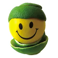 可爱柠檬-空若网 可爱柠檬-空若网