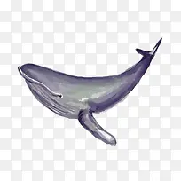 ʸÁ¿¾¨Óã-¿ÕÈôÍø ʸÁ¿¾¨Óã-¿ÕÈôÍø