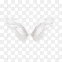 天使的翅膀-空若网 天使的翅膀-空若网