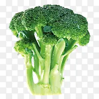 绿色花菜-空若网 绿色花菜-空若网