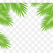 ÁøÒ¶-¿ÕÈôÍø ÁøÒ¶-¿ÕÈôÍø