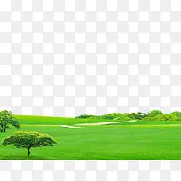 大草原和树-空若网 大草原和树-空若网