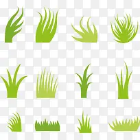 小草的形态-空若网 小草的形态-空若网