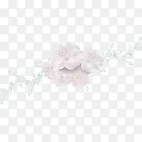 白色梨花-空若网 白色梨花-空若网