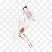 �����ɫ�ɺ׶���-������