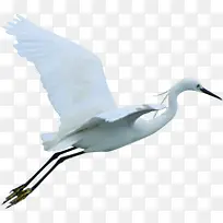 ��ɫ�����ɺ�װ��-������