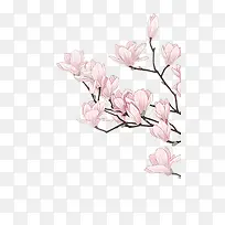 手绘合成粉红色的桃花树-空若网 手绘合成粉红色的桃花树-空若网