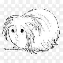 绘画安全搜索单色摄影-豚鼠-空若网 绘画安全搜索单色摄影-豚鼠-空若网