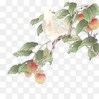 Ë®²Ê¹Å·ç°×¸ëÂÌÒ¶-¿ÕÈôÍø Ë®²Ê¹Å·ç°×¸ëÂÌÒ¶-¿ÕÈôÍø