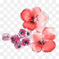 ÊÖ»æËÄÒ¶²Ý»¨¶ä-¿ÕÈôÍø ÊÖ»æËÄÒ¶²Ý»¨¶ä-¿ÕÈôÍø