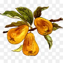 �ֻ�ˮ��-������