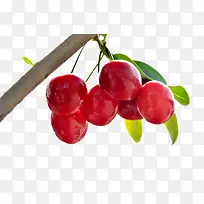 ӣ��-������