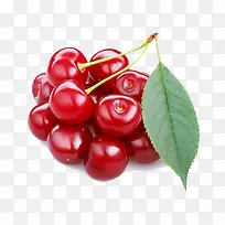 樱桃-空若网 樱桃-空若网