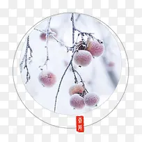 简约霜降节气水果-空若网 简约霜降节气水果-空若网