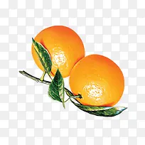 橙子-空若网 橙子-空若网