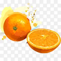 矢量橙子-空若网 矢量橙子-空若网