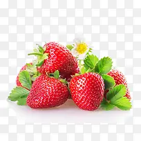 草莓-空若网 草莓-空若网