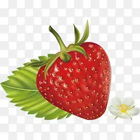 精美水果草莓-空若网 精美水果草莓-空若网