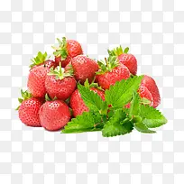 草莓水果叶子-空若网 草莓水果叶子-空若网