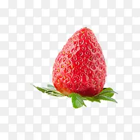 草莓-空若网 草莓-空若网