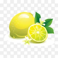 手绘柠檬-空若网 手绘柠檬-空若网
