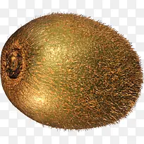 猕猴桃-空若网 猕猴桃-空若网