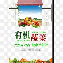 有机蔬菜-空若网 有机蔬菜-空若网