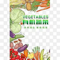 有机蔬菜-空若网 有机蔬菜-空若网