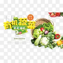 有机素材健康蔬菜素材图片-空若网 有机素材健康蔬菜素材图片-空若网