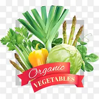 ��ɫ�߲�-������