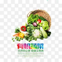 有机蔬菜-空若网 有机蔬菜-空若网