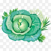 菜头PNG矢量素材-空若网 菜头PNG矢量素材-空若网